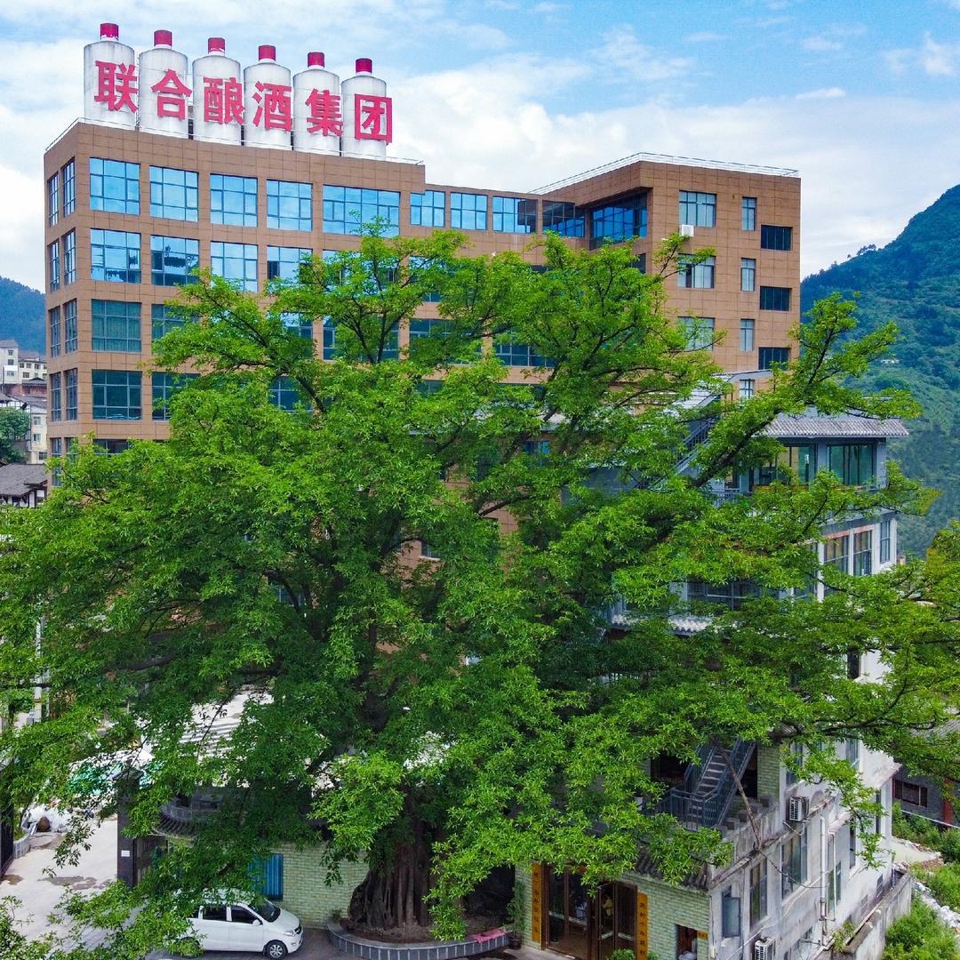 贵州联合酿酒集团企业店