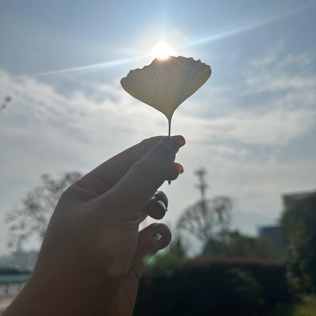 黄婷婷~