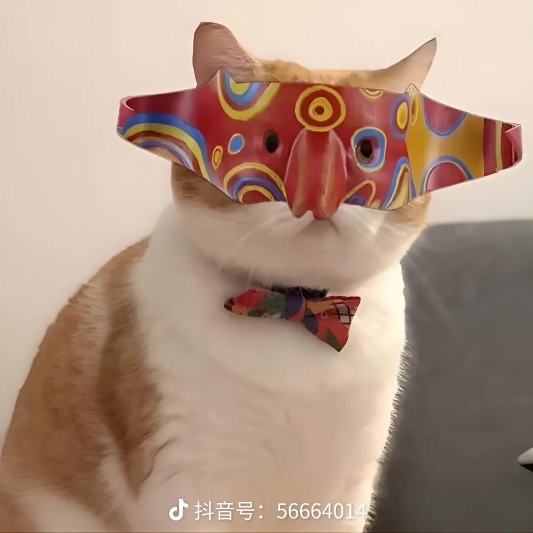 虾任猪心