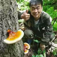 珍宝岛张乐9月10号破价直播