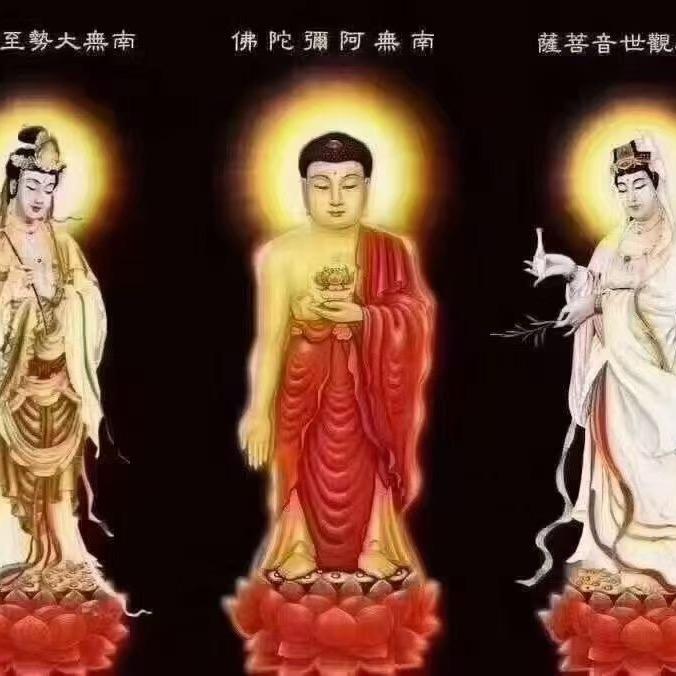 陪儿子打怪兽