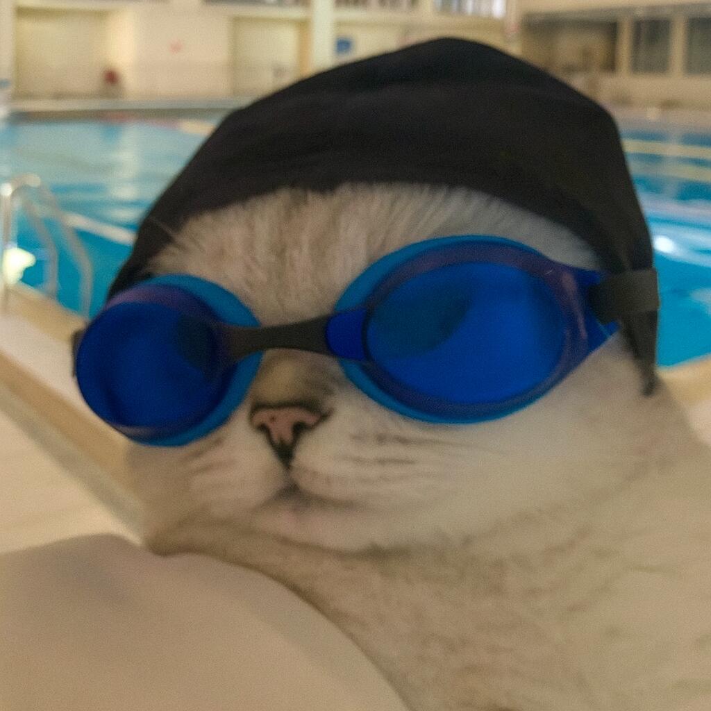 杭州养正学校钱锋游泳馆王教练