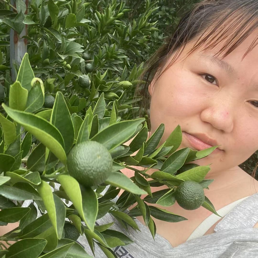 小妹家新会陈皮