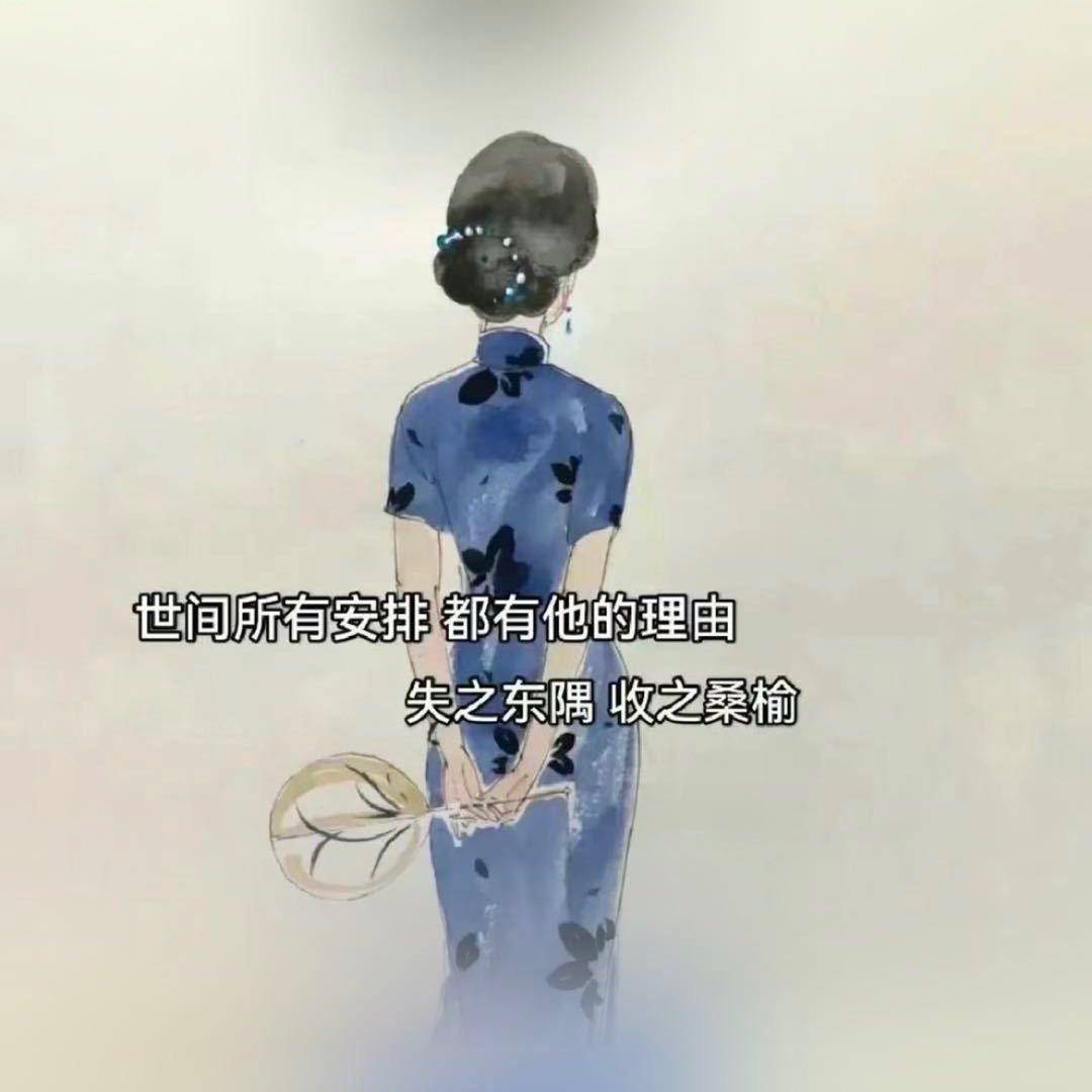 Z·十一