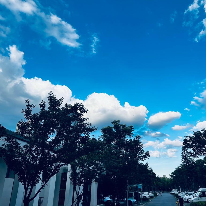 记录生活和风景的摄影师📹