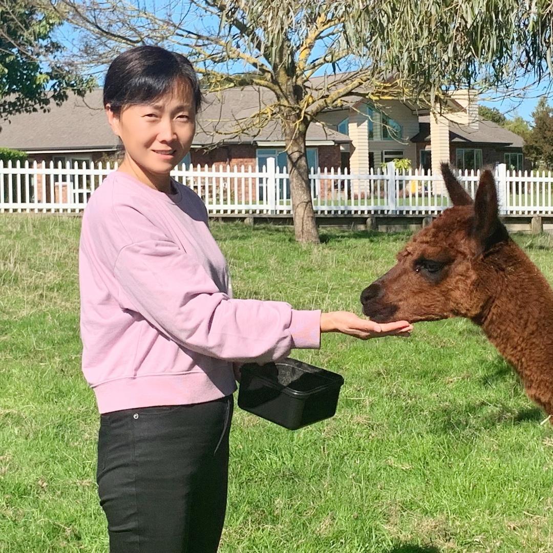 新西兰尼娜