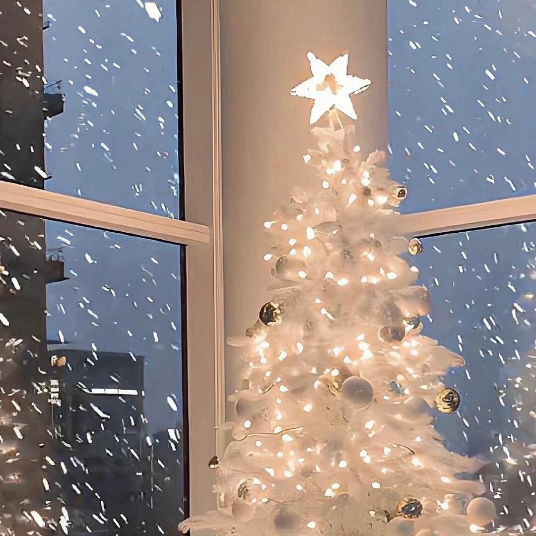 111（第二排见过解解版）