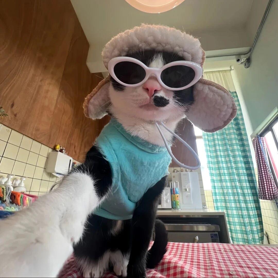 重生之九十岁变态老蟑螂调戏八十九岁牛爷爷