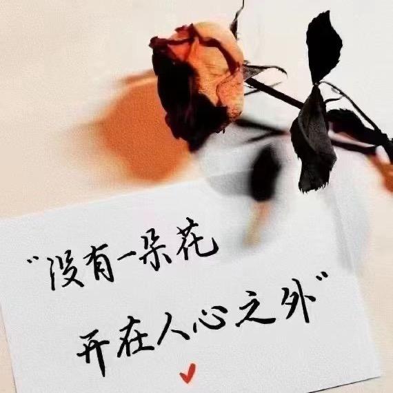 菲菲🦋