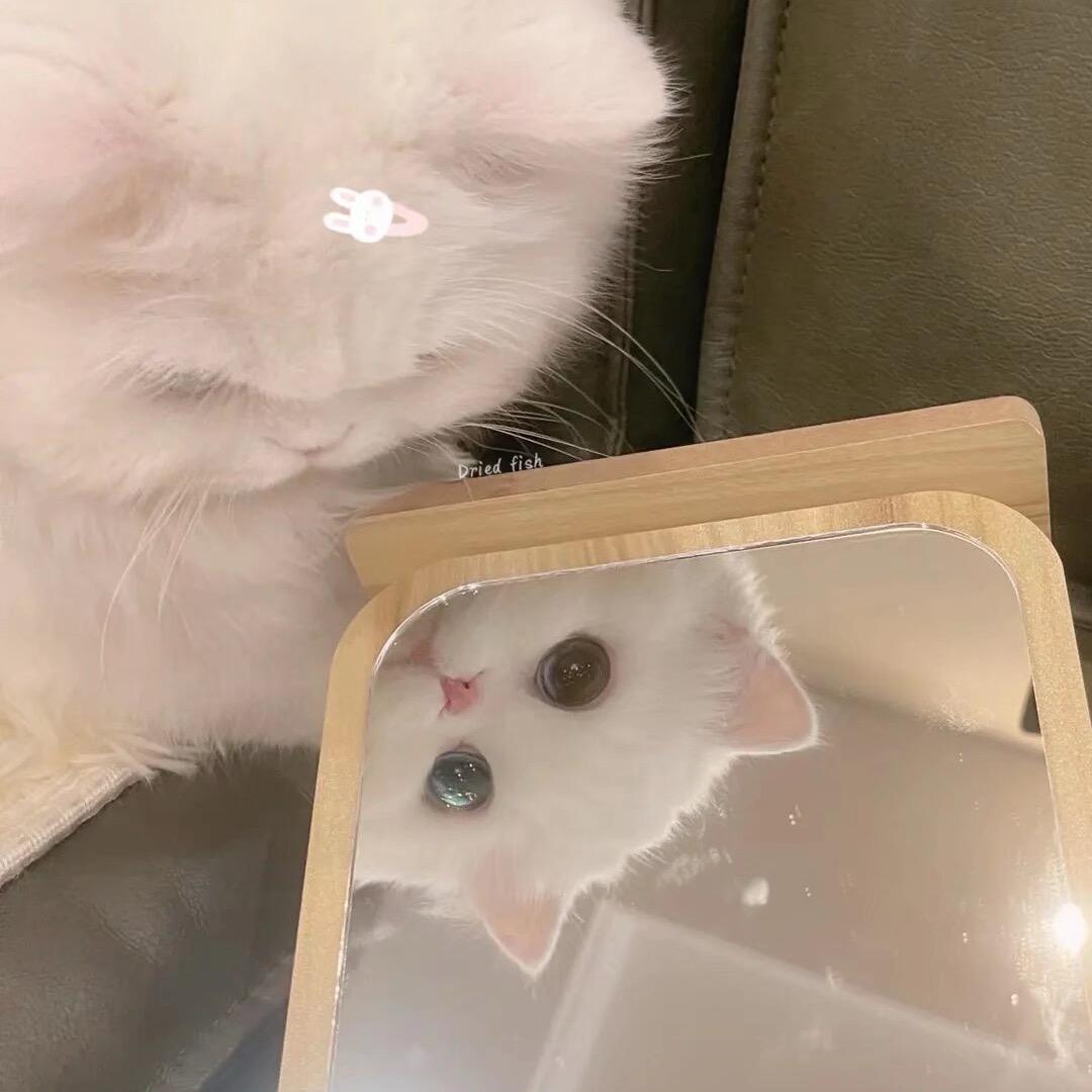 我要睡到自然醒