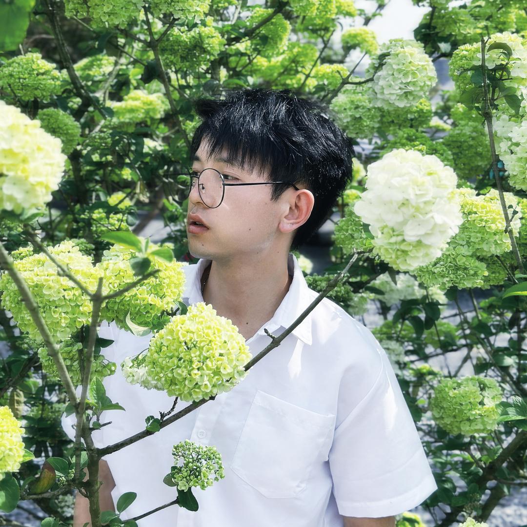 痴情的杰伦哥哥