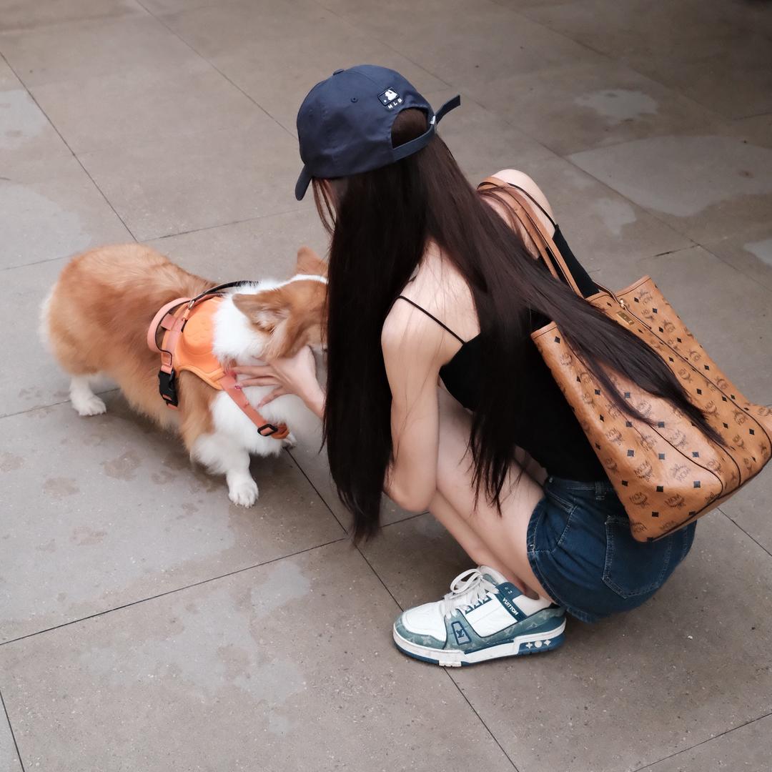 小熊快跑