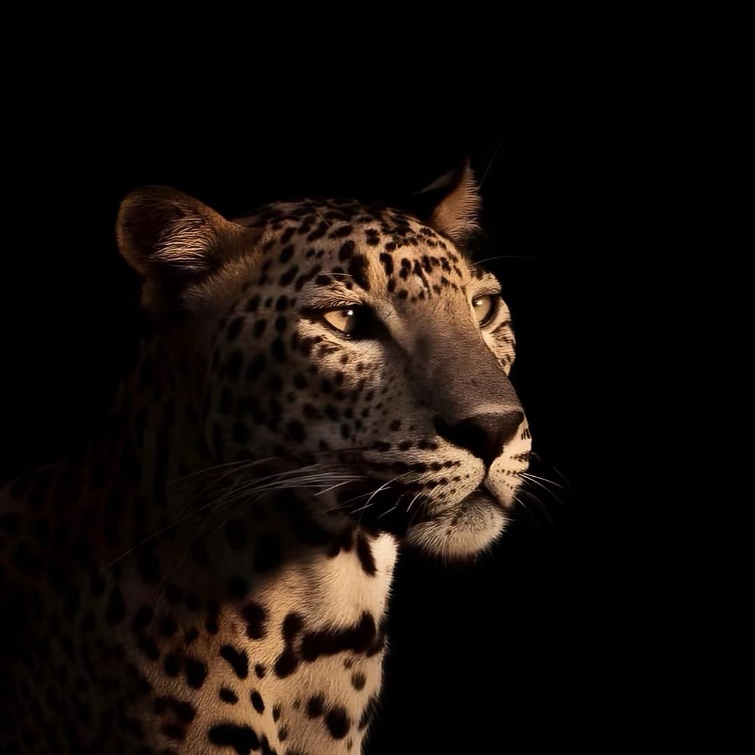 不懂取名叫什么