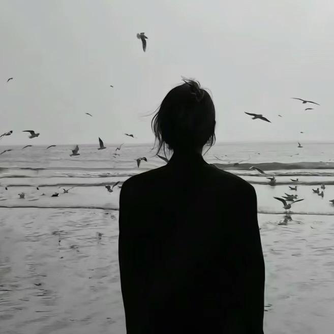 上海16仓