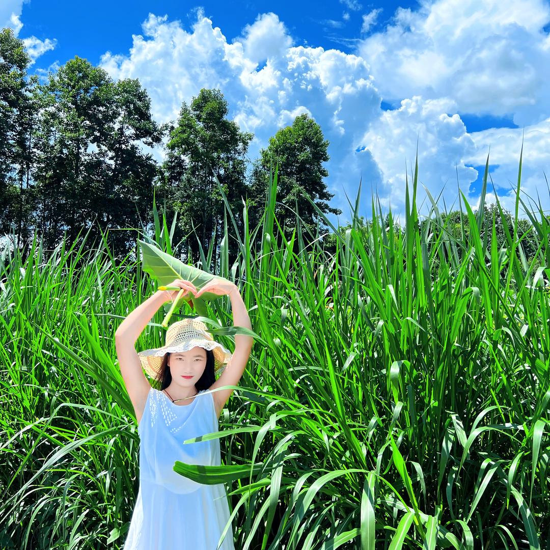 滇西陌上花开