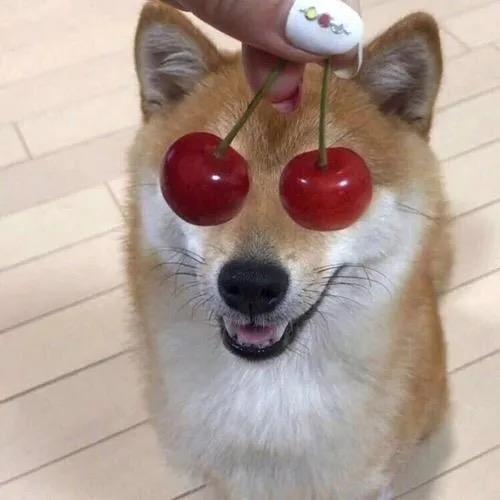 西红柿炒番茄🍅