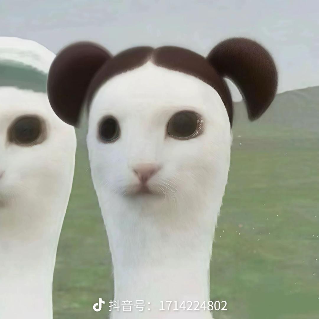 凌晨小雨