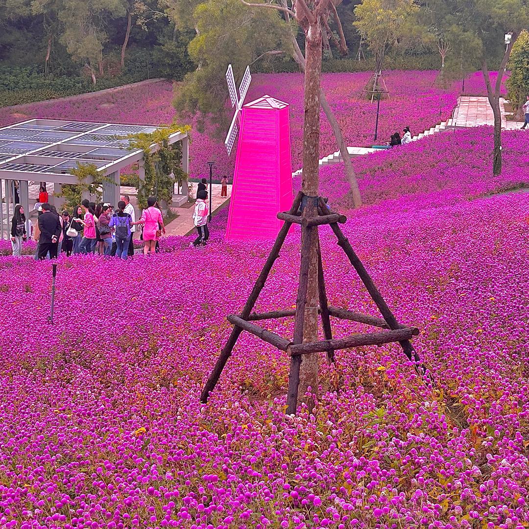 心若初晴💗