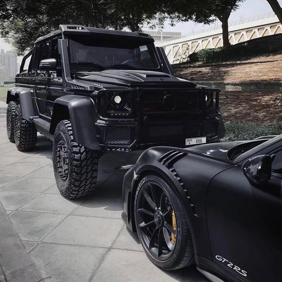 Raptor
