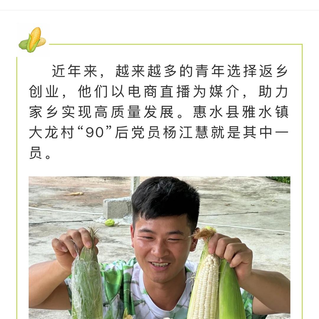 瓜小弟 贵州慧诚农业 杨江慧