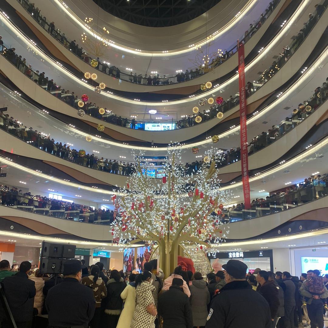女墙人（撞了难墙直接翻过去的女人）