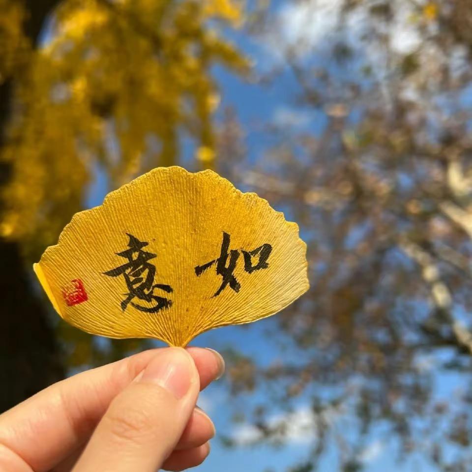 四姐商品优选