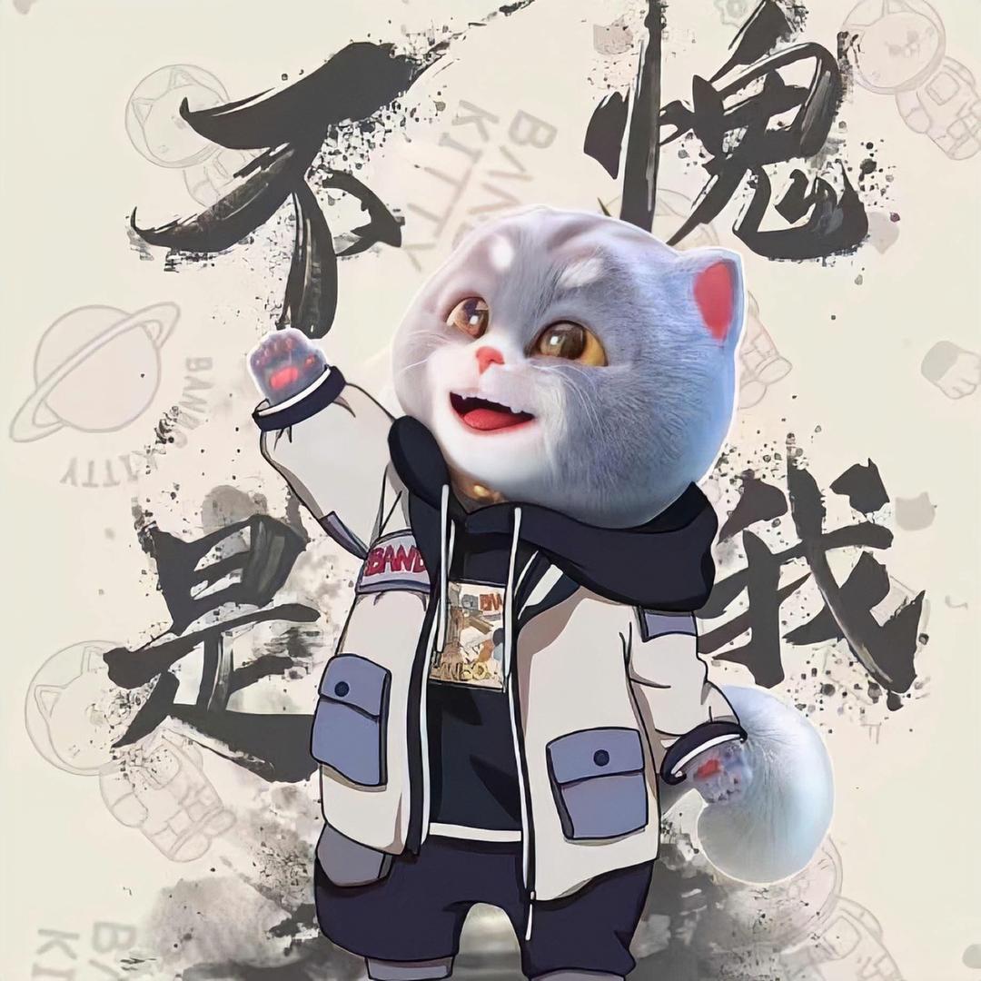 胖子飞