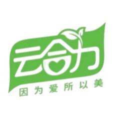云合力品牌日化