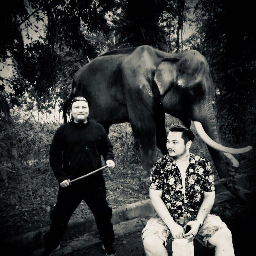 泰か国わ小🐘象