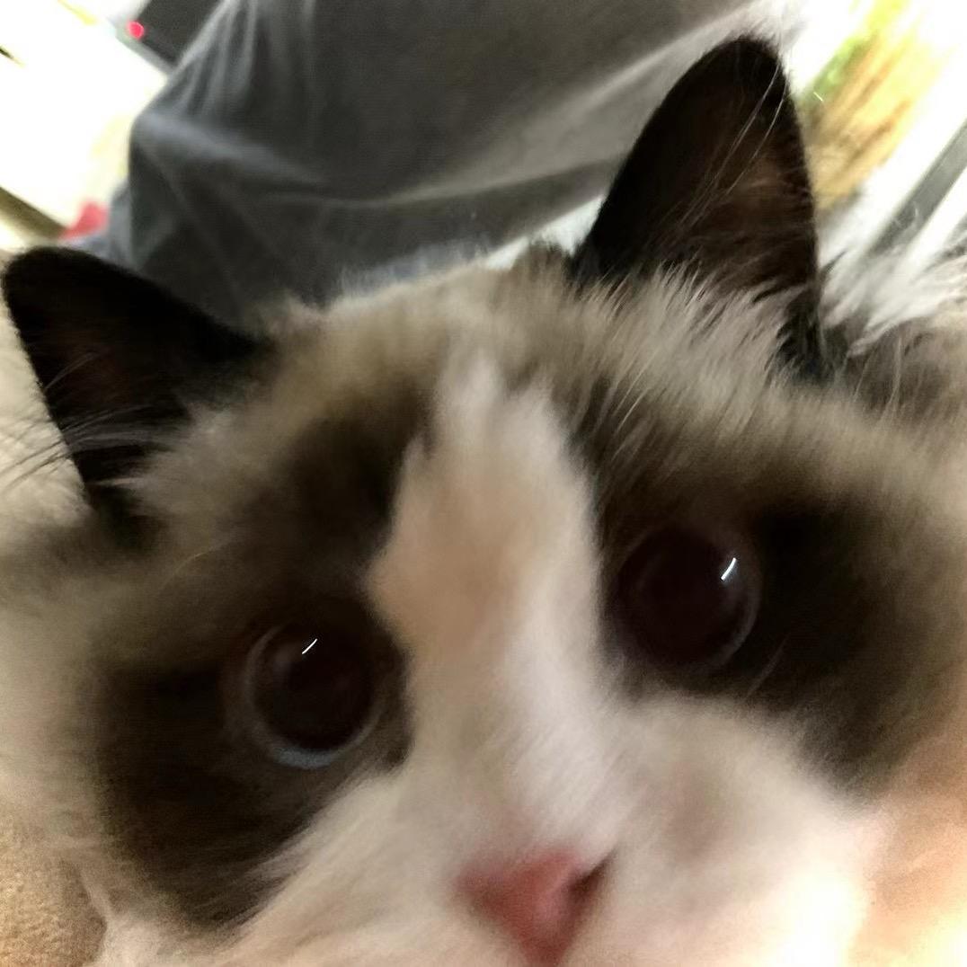 sr
