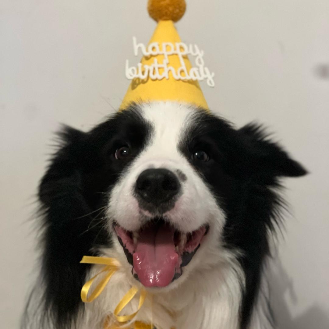 bowen的厨房