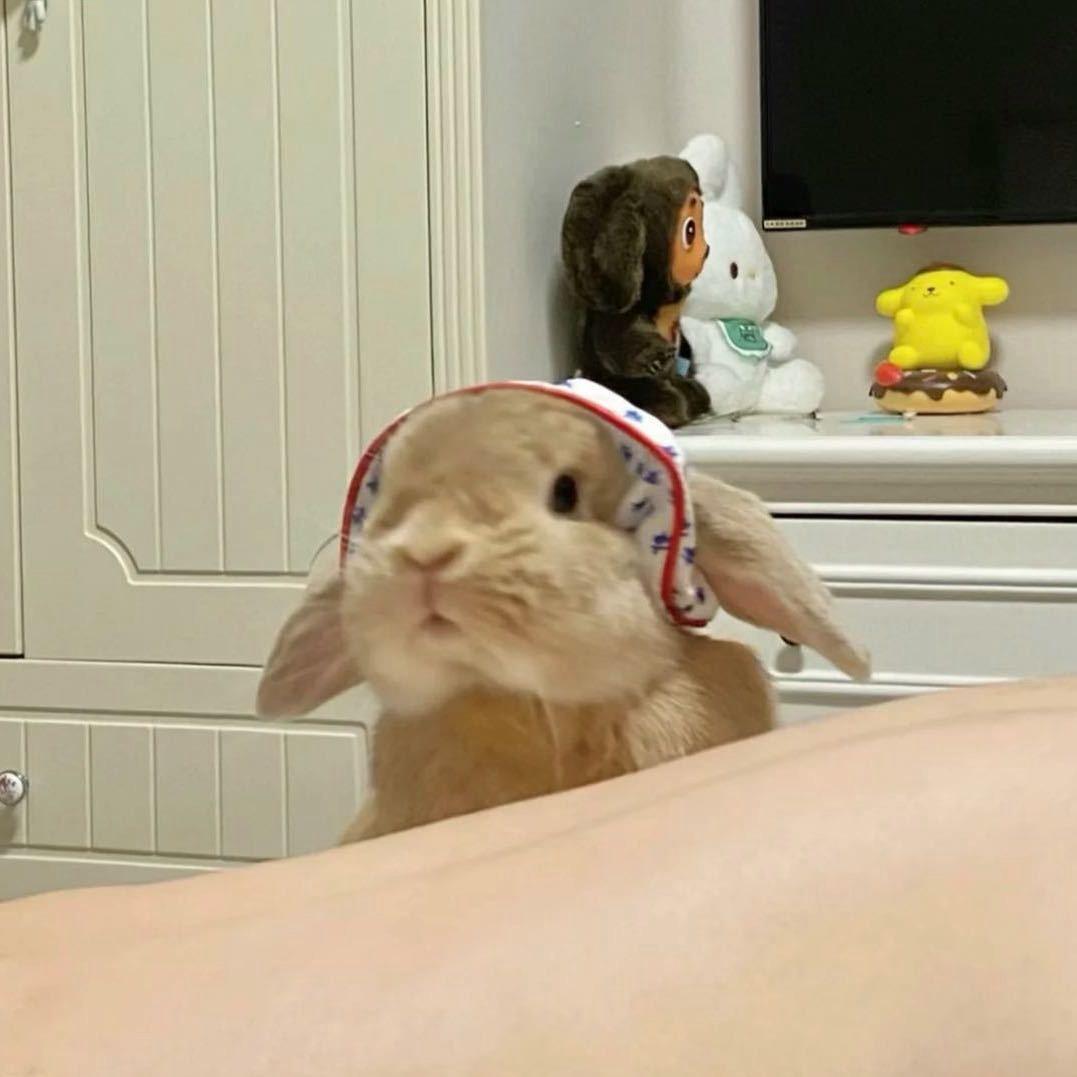 iiio