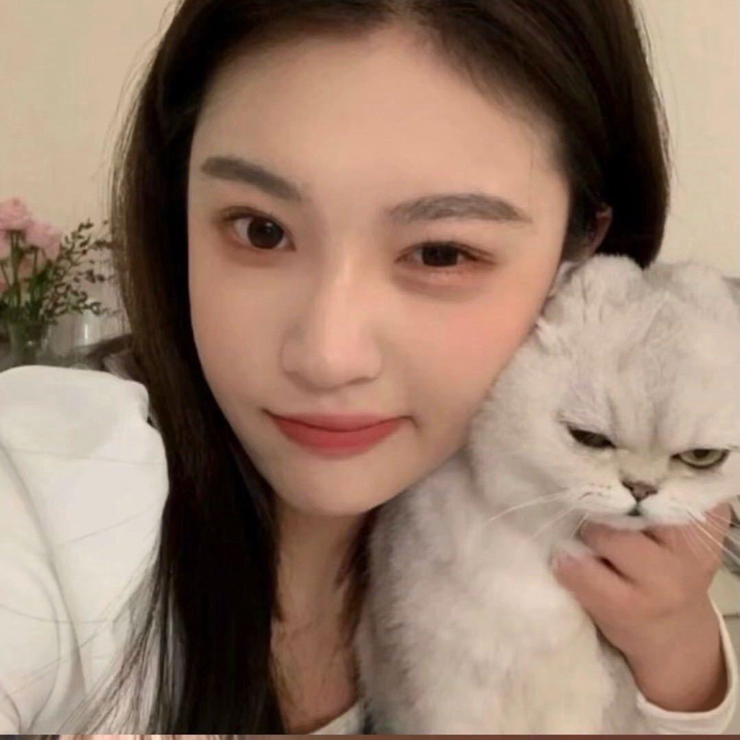 养一只喵🐱