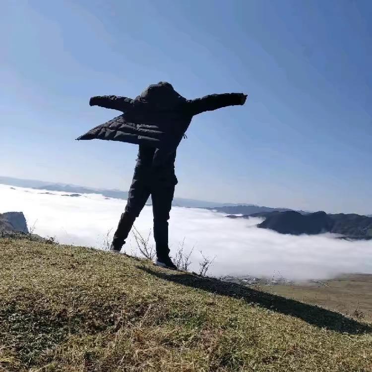 【九叔】