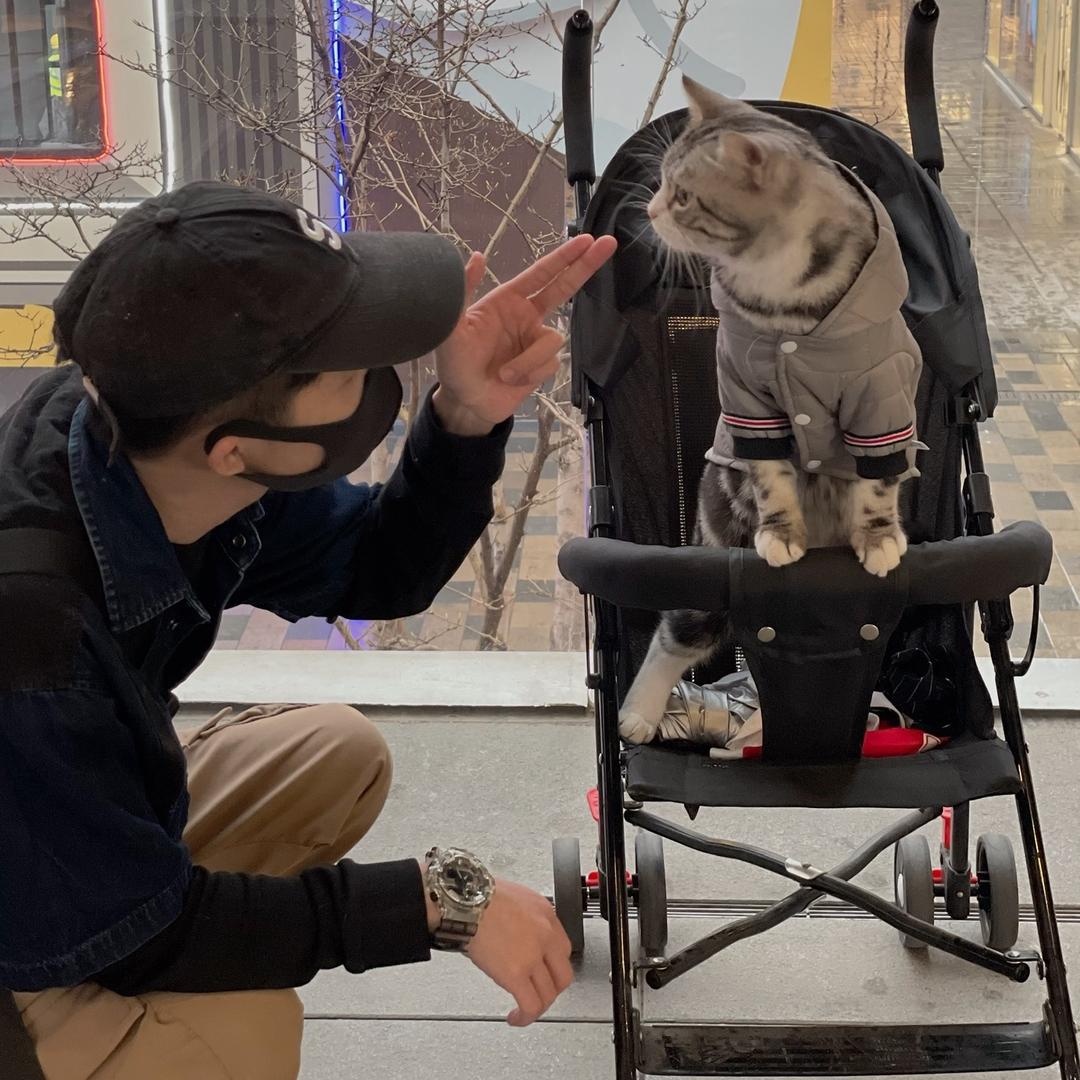 妈耶是只猫@抖音