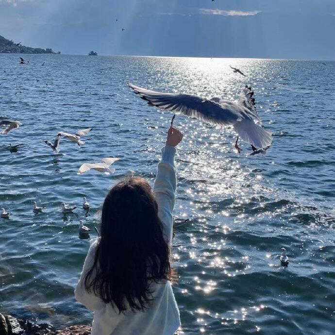 佳佳呀