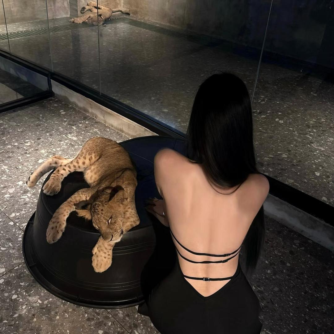 农夫三拳有点疼.
