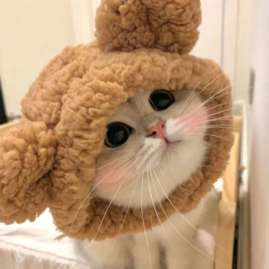 非常有趣哇✨