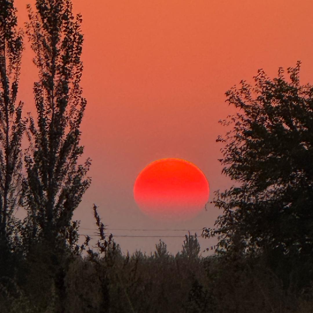另一种灿烂人生