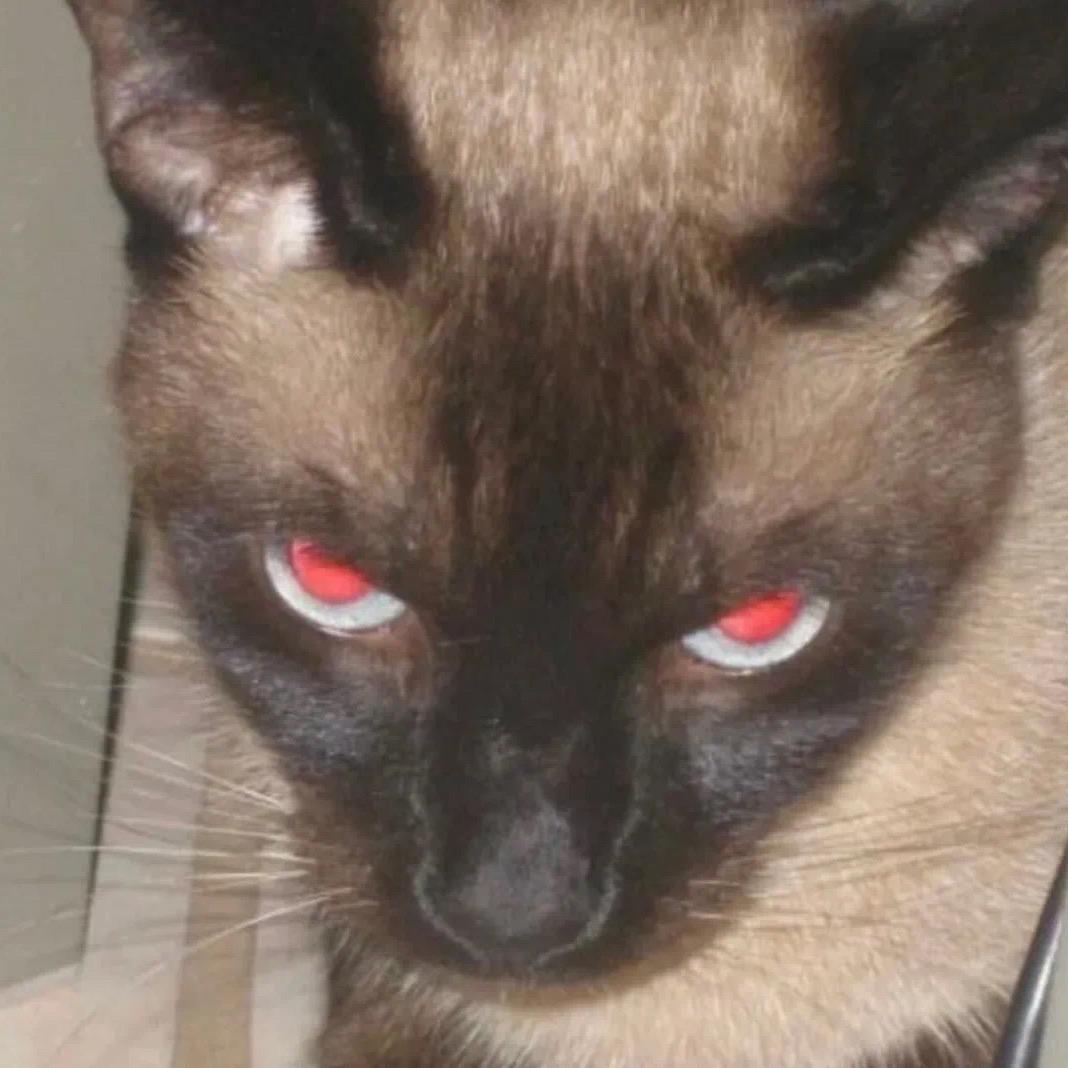 巴斯儿童电话手表官营店