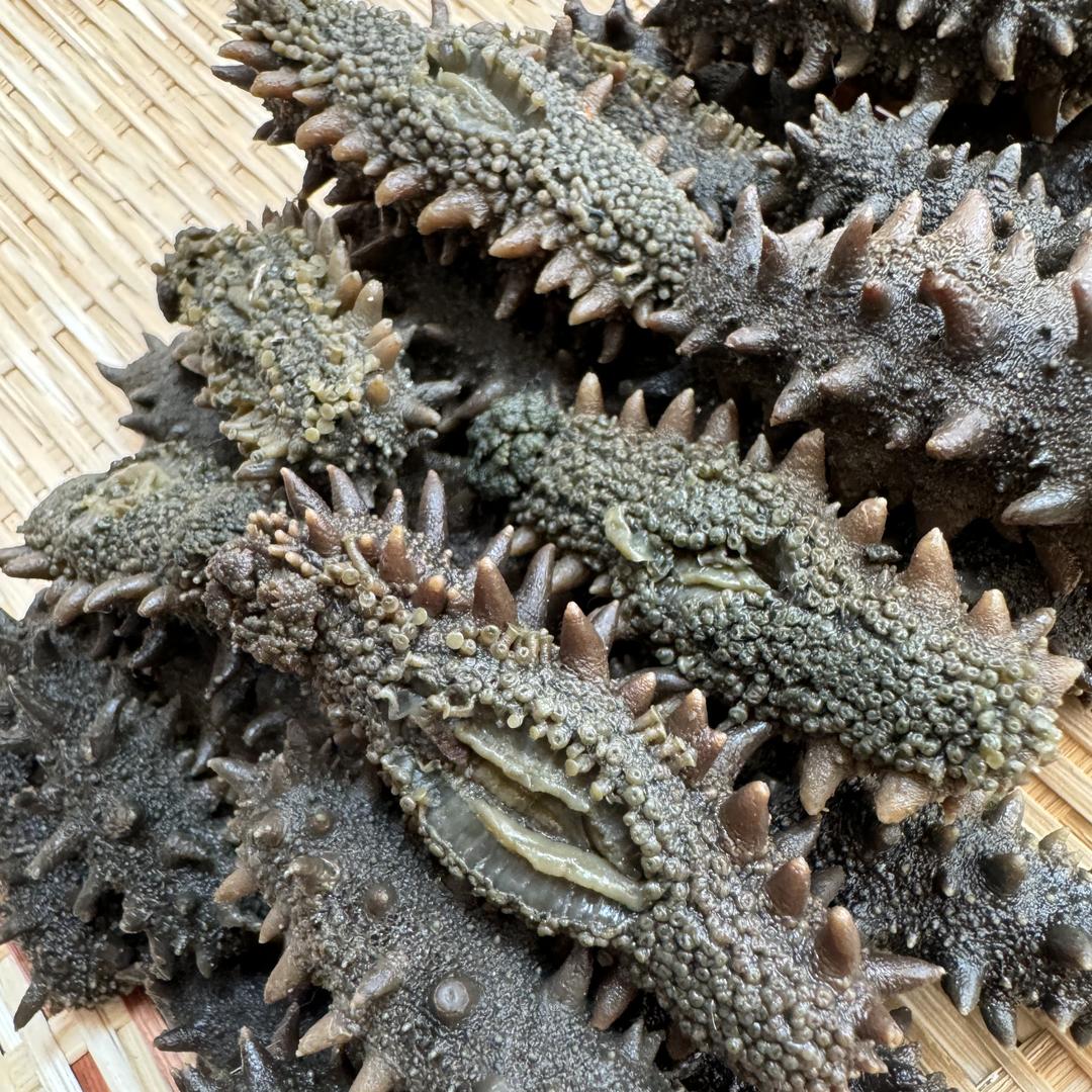 蔚蓝海洋海珍品