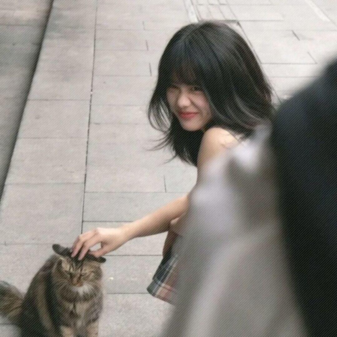不吃汉堡