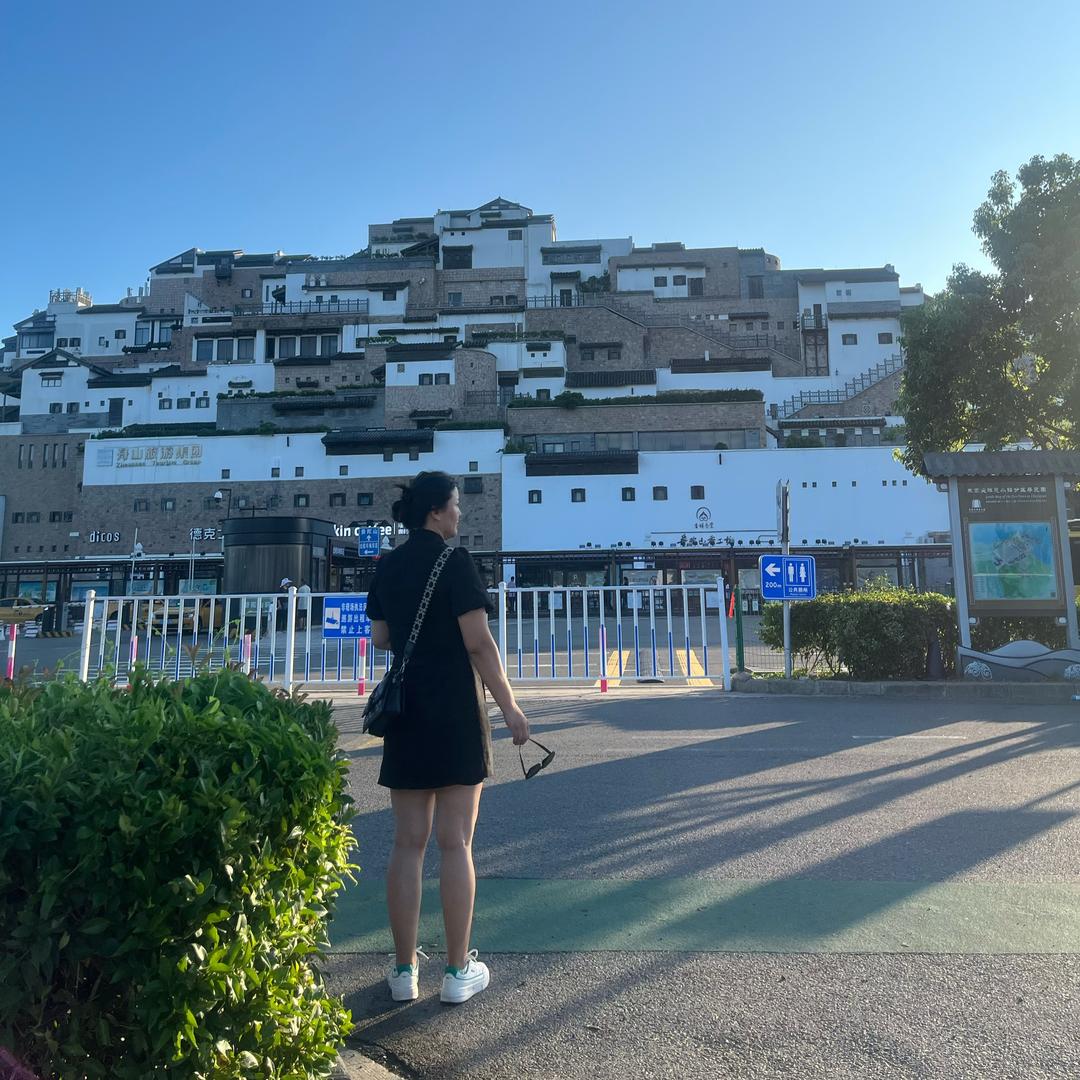 豫D姐姐