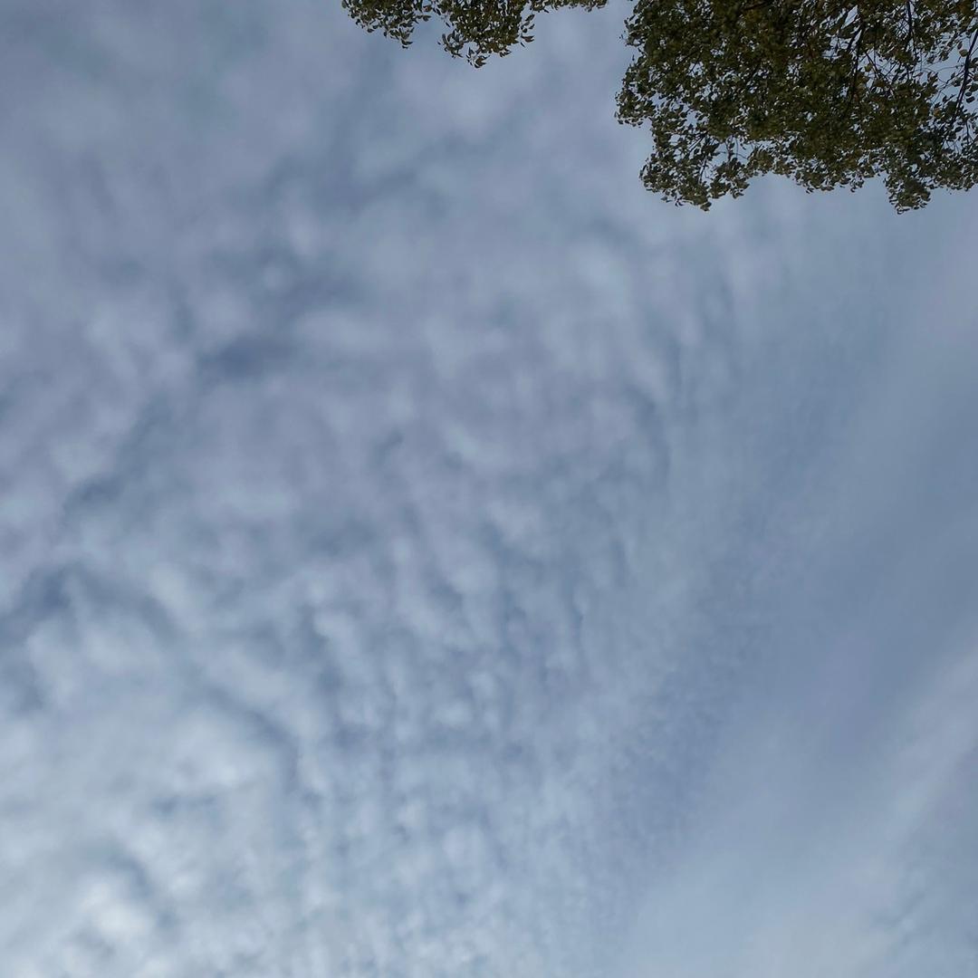 基本热感