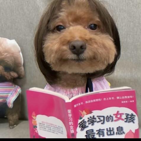 麻辣折耳根