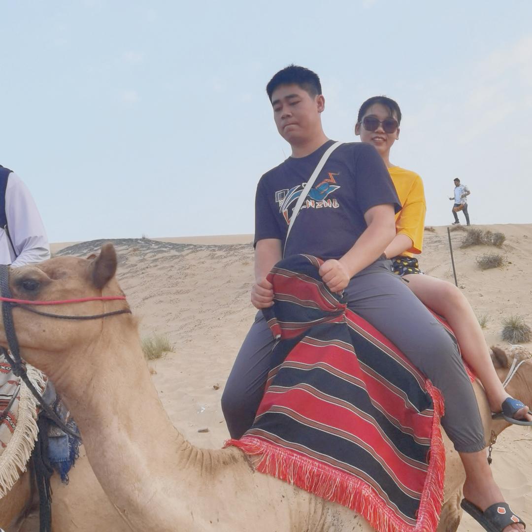 陶陶小🐎
