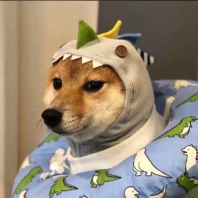 阿玛迪斯🌈