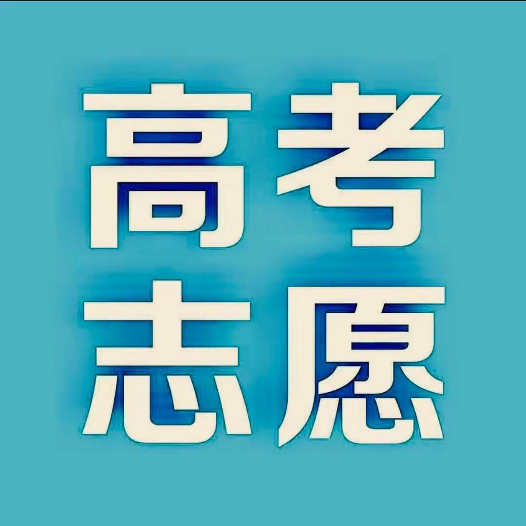 山东高考升学规划杨老师