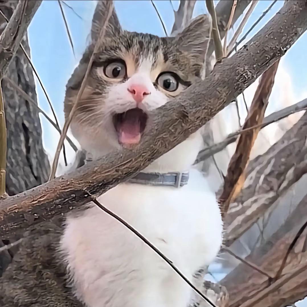 重生之我叫欣欣