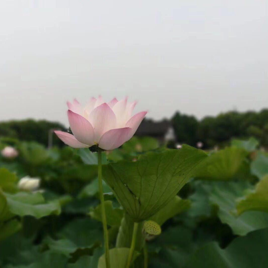 余生